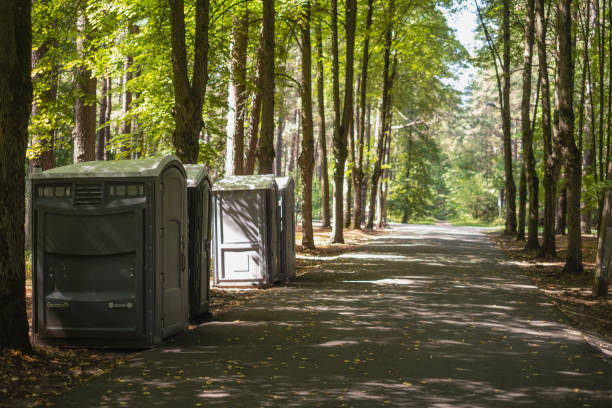 Best Portable toilet rental cost  in Acres Green, CO